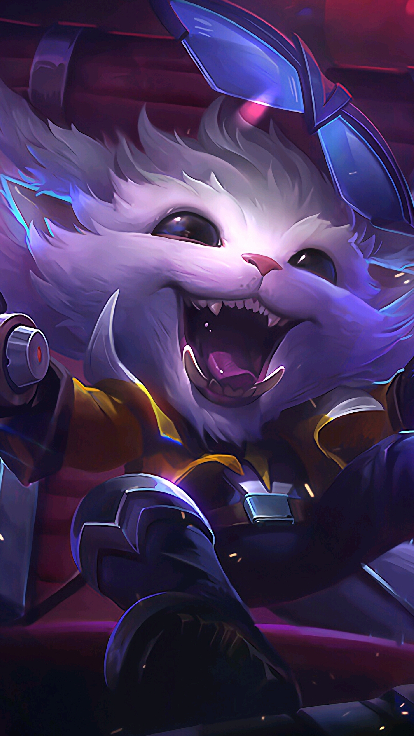 而非临时拍 而非临时拍