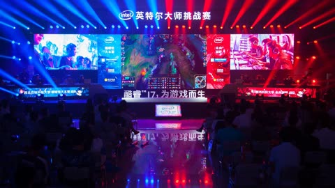 一条小龙与